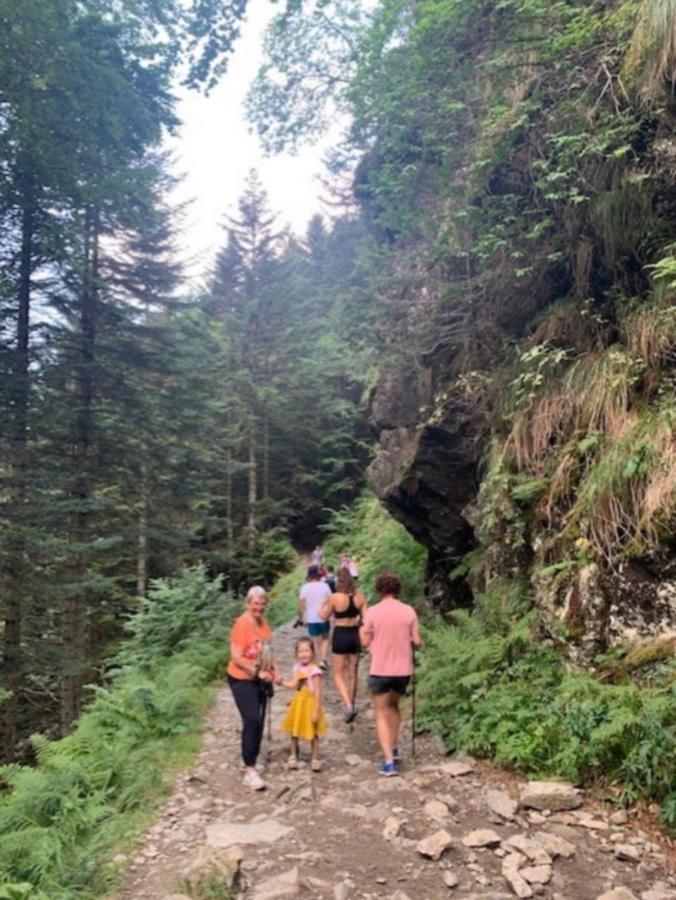 Appartement Tres Agreable Dans Belle Residence, Classe 3 Etoiles Par Le Comite Departementale Du Tourisme En Haute Garonne Bagneres-de-Luchon Экстерьер фото