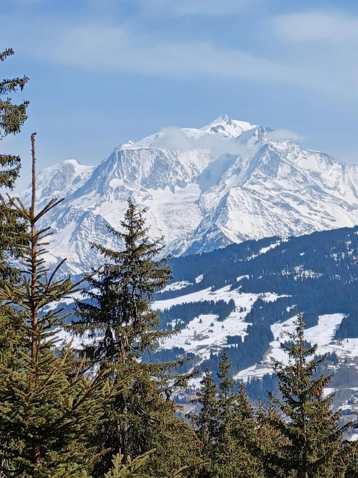 Appartement Tres Agreable Dans Belle Residence, Classe 3 Etoiles Par Le Comite Departementale Du Tourisme En Haute Garonne Bagneres-de-Luchon Экстерьер фото